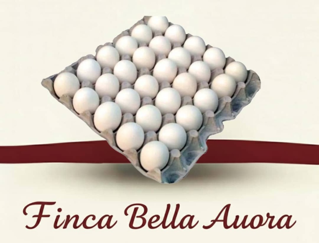 Huevos Frescos  (30 unidades) 