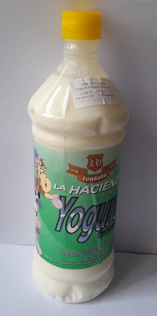 Yogurt Natural 1L